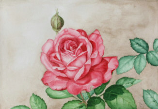 Aquarell "Rose"